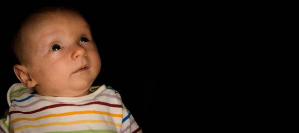 Μωρό Hayden σε μαύρο σε δύο μηνών - Φωτογραφία, εικόνα