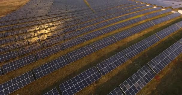 Hava görüntüsü. Güneş enerjisi santralinin üzerinde güneşle uçuyor. Güneş panelleri ve güneş. Hava aracı atışı. 4k Prores Merkezi Ukrayna - Video, Çekim