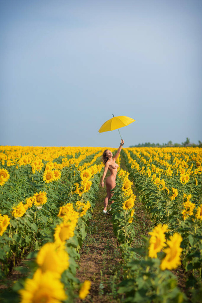 Beautiful naked woman with a yellow umbrella in a field of sunflowers. Gorgeous figure. Fitness bikini. A girl with silicone breasts is hiding from the sun under an umbrella in the countryside. - Photo, Image