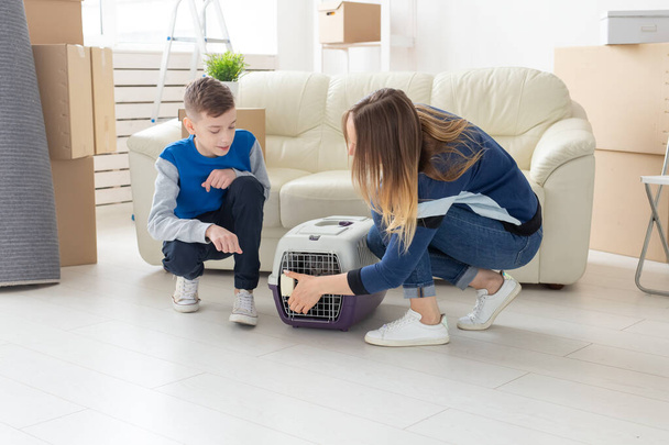 Slim young mother and little son launch their beautiful gray Scottish Fold cat into their new apartment in the living room. The concept of tradition with housewarming. - Photo, Image