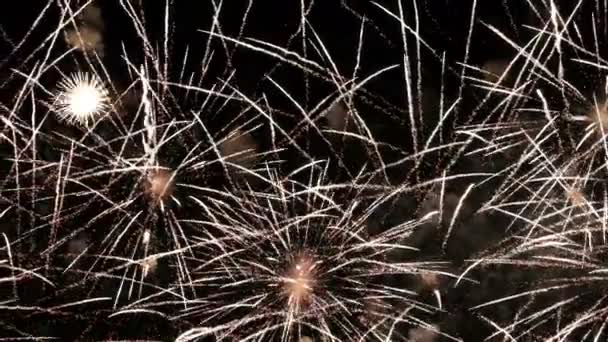 The greatest of fireworks on celebration day. Footage of wonderful background. Magnificent holiday fireworks in celebration concept. Beautiful salute show on Independent day or on new year. - Footage, Video