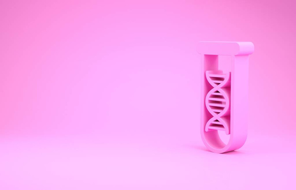 Pink DNA research, search icon isolated on pink background. Genetic engineering, genetics testing, cloning, paternity testing. Minimalism concept. 3d illustration 3D render - Photo, Image
