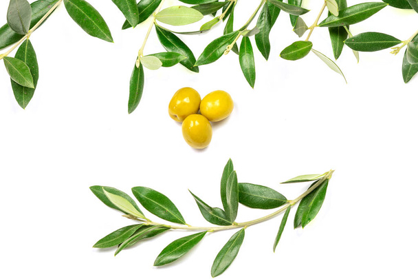 Algunas aceitunas y ramas de olivo sobre el fondo blanco, aisladas
.  - Foto, Imagen