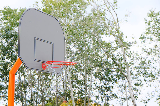 Basketball hoop with backboard in a city park, on a green trees  - 写真・画像