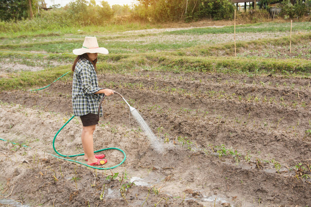 Gardener woman watering vegetables in her garden - Foto, Imagem