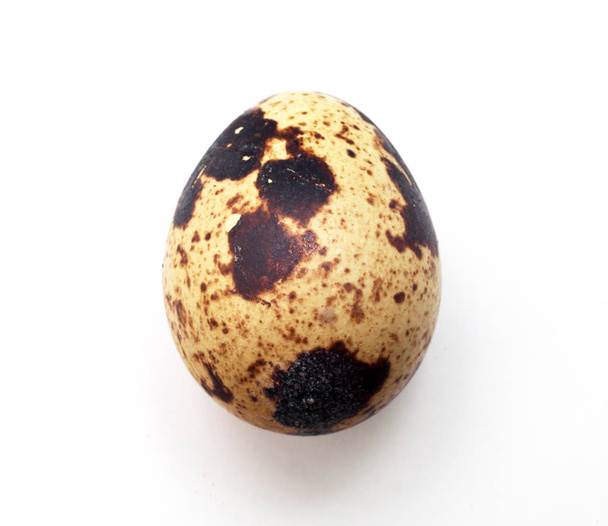 перепелиное яйцо на белом фоне крупным планом
 - Фото, изображение