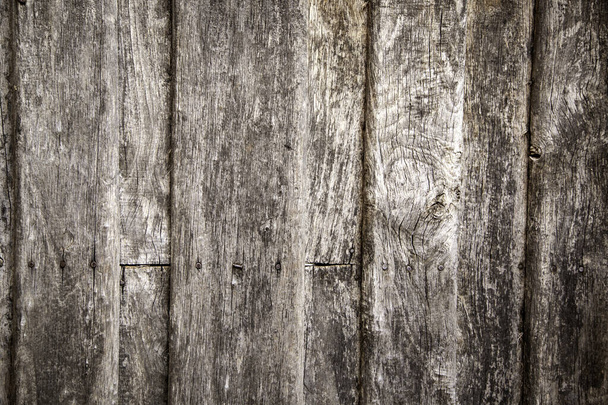 Wooden boards wall - Photo, image