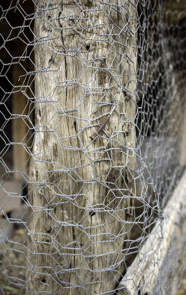 rete metallica di recinzione - Foto, immagini