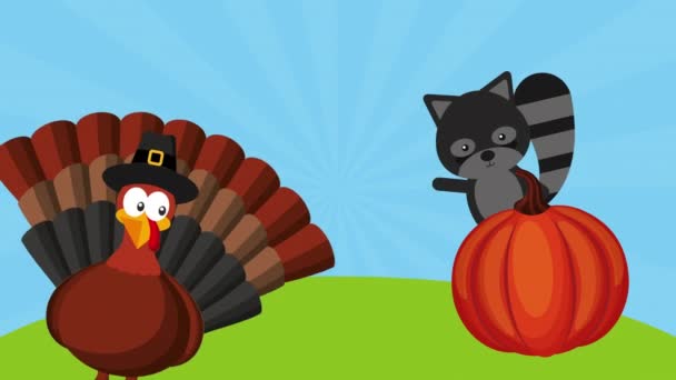 happy thanksgiving celebration with turkey and raccoon - Footage, Video