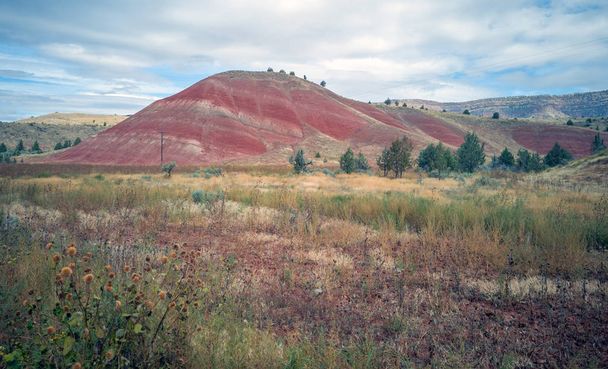 ジョン・デイ化石床の多色塗装された丘のユニット内のプルクリトサウルスの画像。オレゴン州の七不思議の一つに挙げられている。ウィーラー郡ミッチェルの趣のある町の外に位置する. - 写真・画像