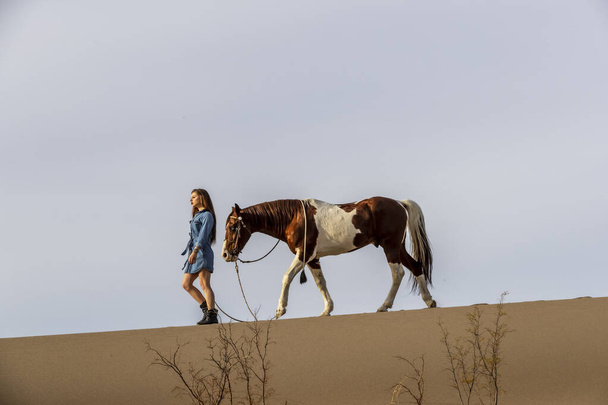 ein reizendes brünettes Model geht an einem Sommertag mit ihrem Pferd durch die Wüste  - Foto, Bild