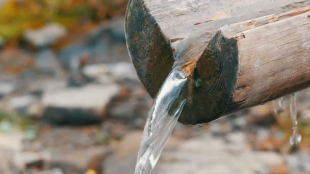 Tiszta, átlátszó hegyi vízfolyás, amely a fából készült ereszcsatornán folyik le. - Felvétel, videó