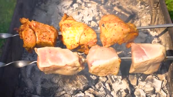 Vue rapprochée du barbecue shashlik à l'extérieur
 - Séquence, vidéo