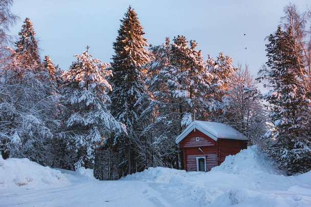 Small red cabin in a snow area surrounded by fir trees covered in snow with a touch of sun rays - Fotografie, Obrázek