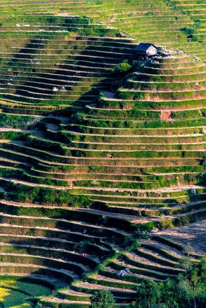 Landschap uitzicht op rijstvelden in Mu Cang Chai District, Vietnam - Foto, afbeelding