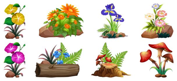 Μεγάλη σειρά από πολύχρωμα λουλούδια σε βράχους και ξύλο - Διάνυσμα, εικόνα