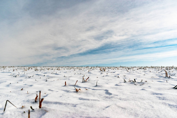 Winter landscape rural scenery covered with a thin layer of snow - Foto, Imagem