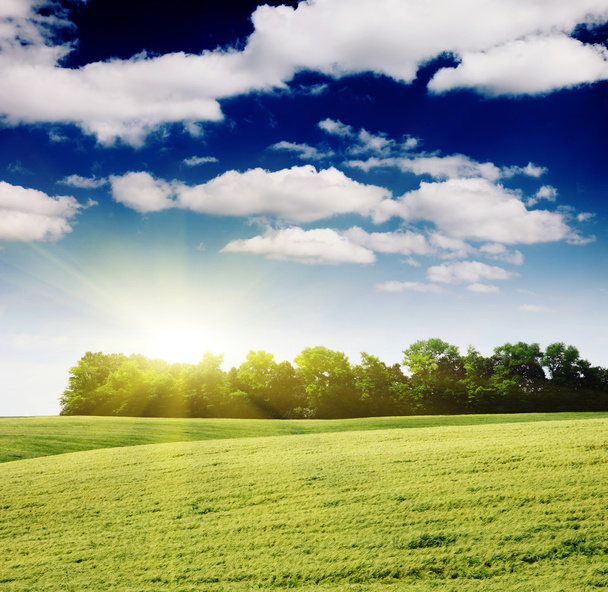 Field and sunlight in blue sky - Valokuva, kuva