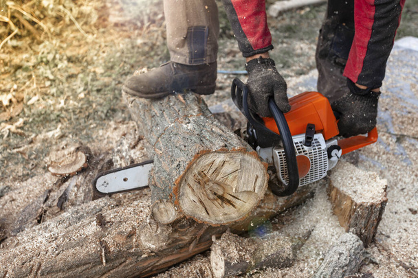 Professionele kettingzaag snijdt firewoods - Foto, afbeelding