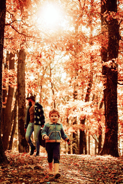 Father and son walking during the hiking activities in autumn forest at sunset. Dad and son in sweaters in the park. Father and child son in autumn park having fun and laughing. - 写真・画像