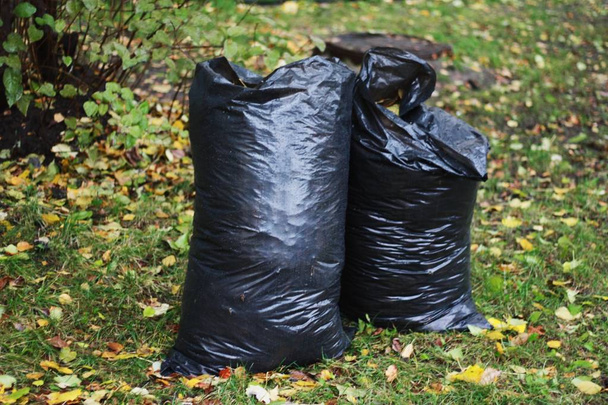 Black garbage bags with autumn leaves on the street  - Photo, Image