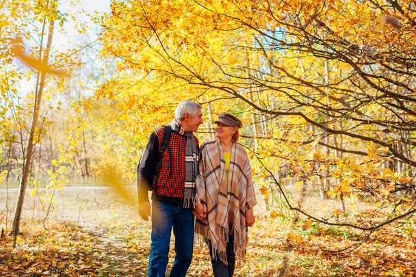 Fall season walk. Senior couple walking in autumn park. Man and woman spending time together outdoors - Photo, Image