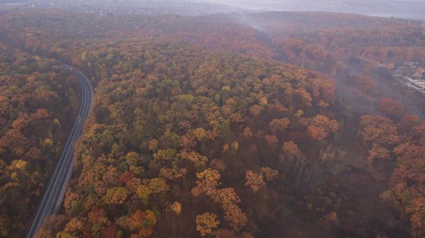 Foto de una vista aérea del bosque de otoño al atardecer
. - Foto, imagen