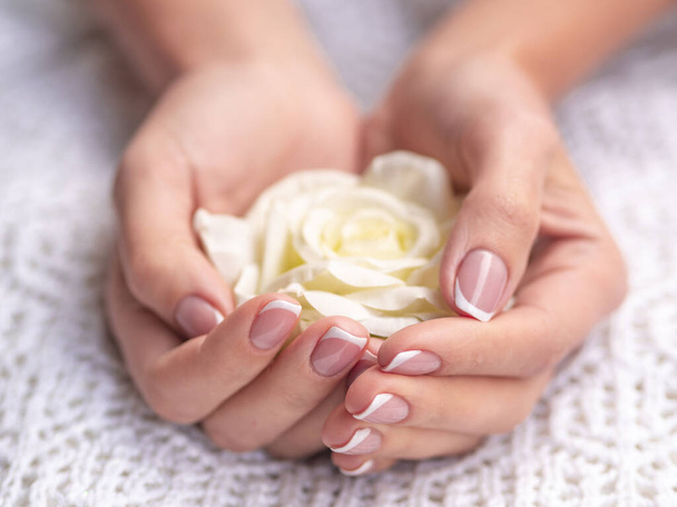 Manicure salon and spa concept: rose flower in womans hands with beautiful french manicure on a white knitted background - Fotografie, Obrázek