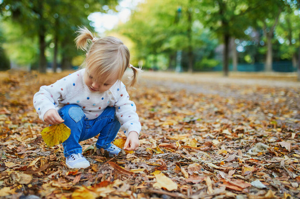 Чарівна весела дівчинка збирає жовте осіннє листя в парку
 - Фото, зображення