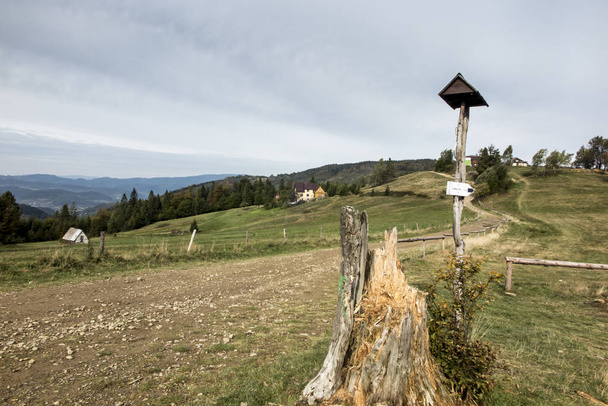 Salón pastoral de montaña, vista de Hala Boracz y en la distancia
  - Foto, Imagen