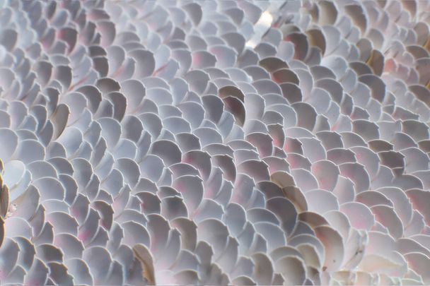 glinsterende licht glanzende achtergrond, bokeh textuur met waas met iriserende glitter - Foto, afbeelding