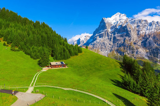 Grindelwald, İsviçre köyü ve dağların manzarası - Fotoğraf, Görsel