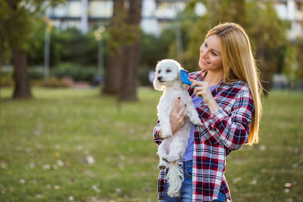Beautiful woman combing her Maltese dog in the park. - Фото, изображение