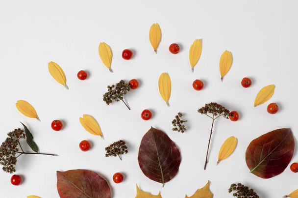 Autumn Composition of vibrant red and yellow leaves on a white background. Flat lay Top view trendy background. - Foto, Imagem
