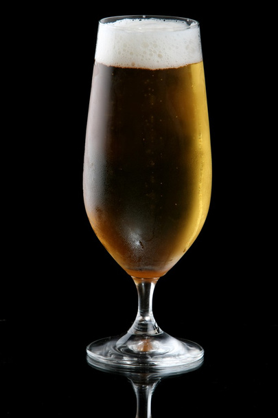 Beer or Lager in Glass - Photo, image