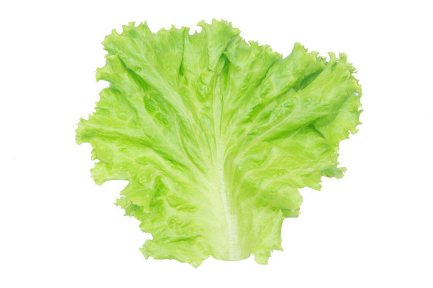 Salátový list. Hlávkový salát izolovaný na bílém pozadí s ořezovou p - Fotografie, Obrázek