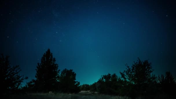 Időzítés csillagösvényekkel az erdő felett - Felvétel, videó