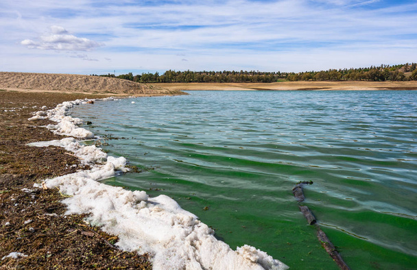 Valdecaas Reservoir, caceres, Spanien, Küste durch Verschmutzung und tote Algen mit weißem Schaum und grünem Wasser kontaminiert - Foto, Bild