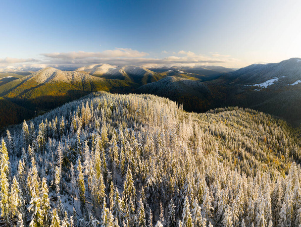 Légi: Repülés a ködös őszi színes erdők felett. Drone Kilátás ködös dombok élénk lombozat ősszel. Lélegzetelállító táj, őszi és téli esztétika. - Fotó, kép