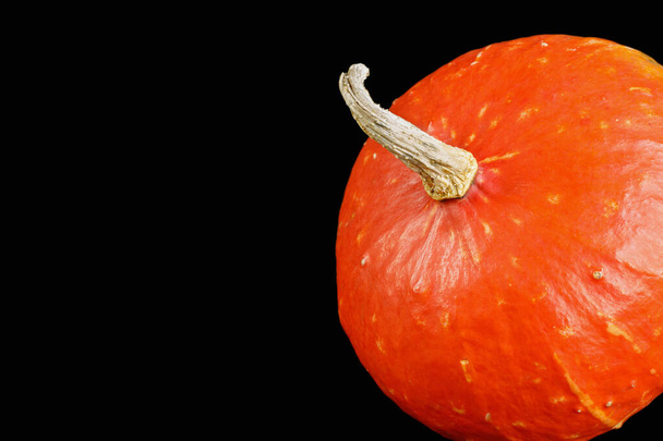 Part of a large red pumpkin with dried tops on a black background for Halloween design. Isolated on a black background. Copyspace - Photo, Image