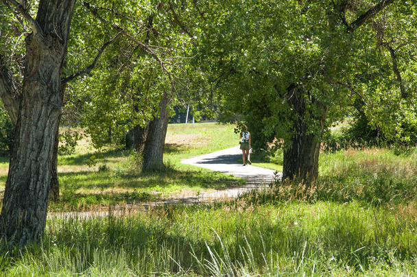 A bike and walking trail though a park - Foto, immagini