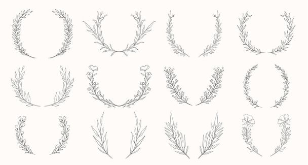 Plant nature wreath hand drawn set. Collection botanical element.Elegante vintage style. - Vector, Image