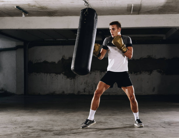 Silueta boxeador masculino golpeando un enorme saco de boxeo en un estudio de boxeo. Hombre boxeador entrenamiento duro
 - Foto, Imagen