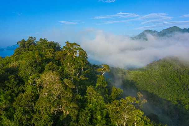 Ilmakuva trooppisen sademetsän. Pohjois-Laosissa. Kaakkois-Aasia
.  - Valokuva, kuva