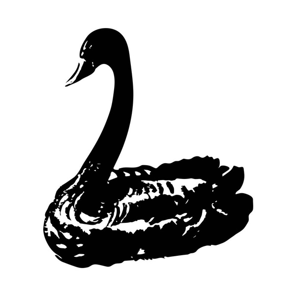 handgezeichneter Skizzenvogel. schwarze Silhouette eines Schwans. Vektorillustration. - Vektor, Bild