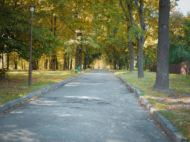 silnice v podzimním parku. procházka v parku. sezóna - Fotografie, Obrázek