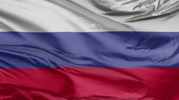 Flag of Russia Realistic 3D - Footage, Video