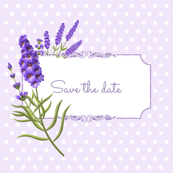 Vintage-Blumenrahmen mit Lavendel im Provence-Stil auf Punktehintergrund. - Vektor, Bild