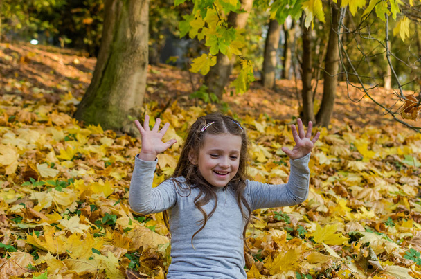 Little charming girl child throws up fallen yellow maple leaves in autumn park - Foto, Imagen