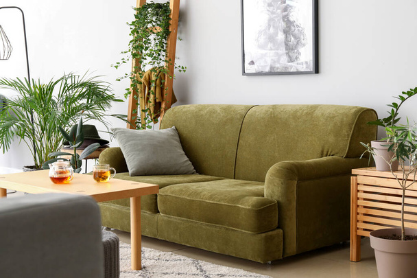 Interno elegante di camera con piante d'appartamento verdi - Foto, immagini